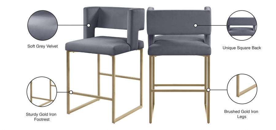 Caleb Counter Stool with Gold Finished (Set of 2)