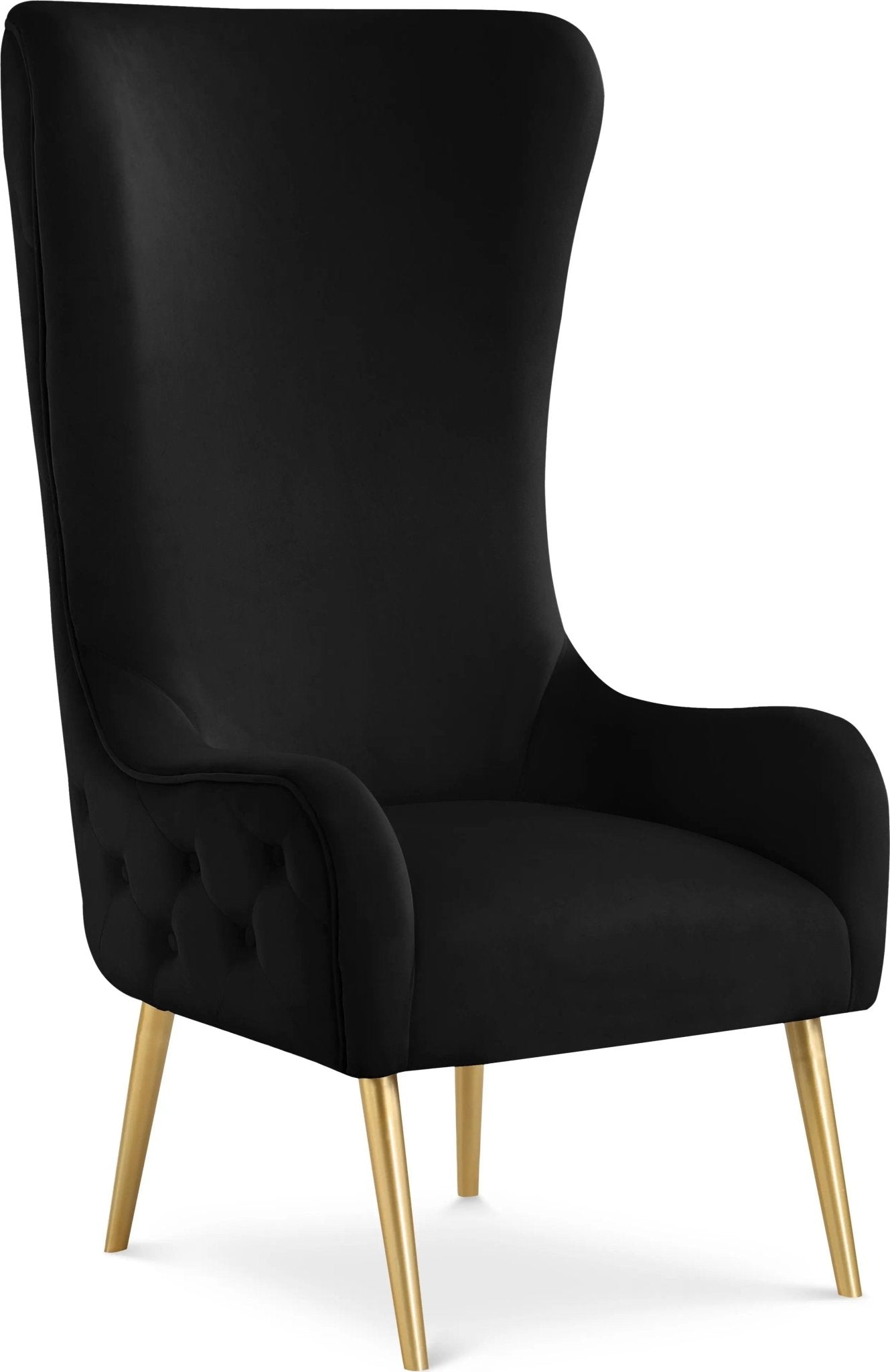 Alexander - Accent Chair - Ferro Furniture