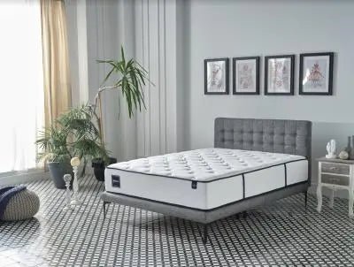 Balance Queen Mattress - Ferro Furniture