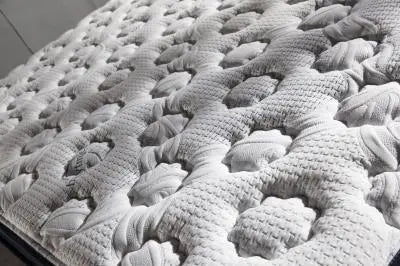 Biorythmic Sleep Eurotop Queen Mattress - Ferro Furniture