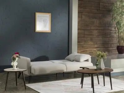 Sofa In a Box - Flexy (Zigana Beige) - Ferro Furniture