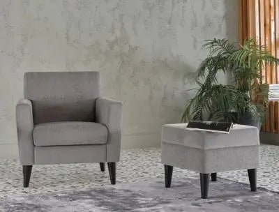 Theo Accent Chair+Ottoman (Theo Grey) - Ferro Furniture