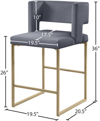 Caleb Counter Stool with Gold Finished (Set of 2)